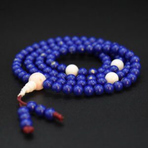 Цагаан шүрэн бөөртэй Номин эрхи