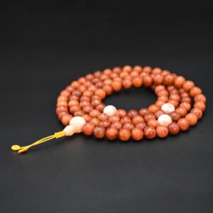 Ягаан шүрэн бөөртэй Африк шүрэн эрхи