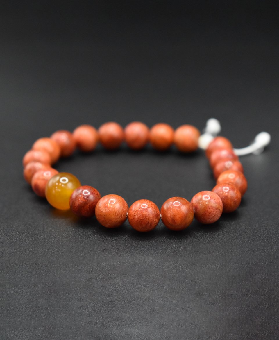 Мана толгойтой Африк шүрэн гарын эрхи