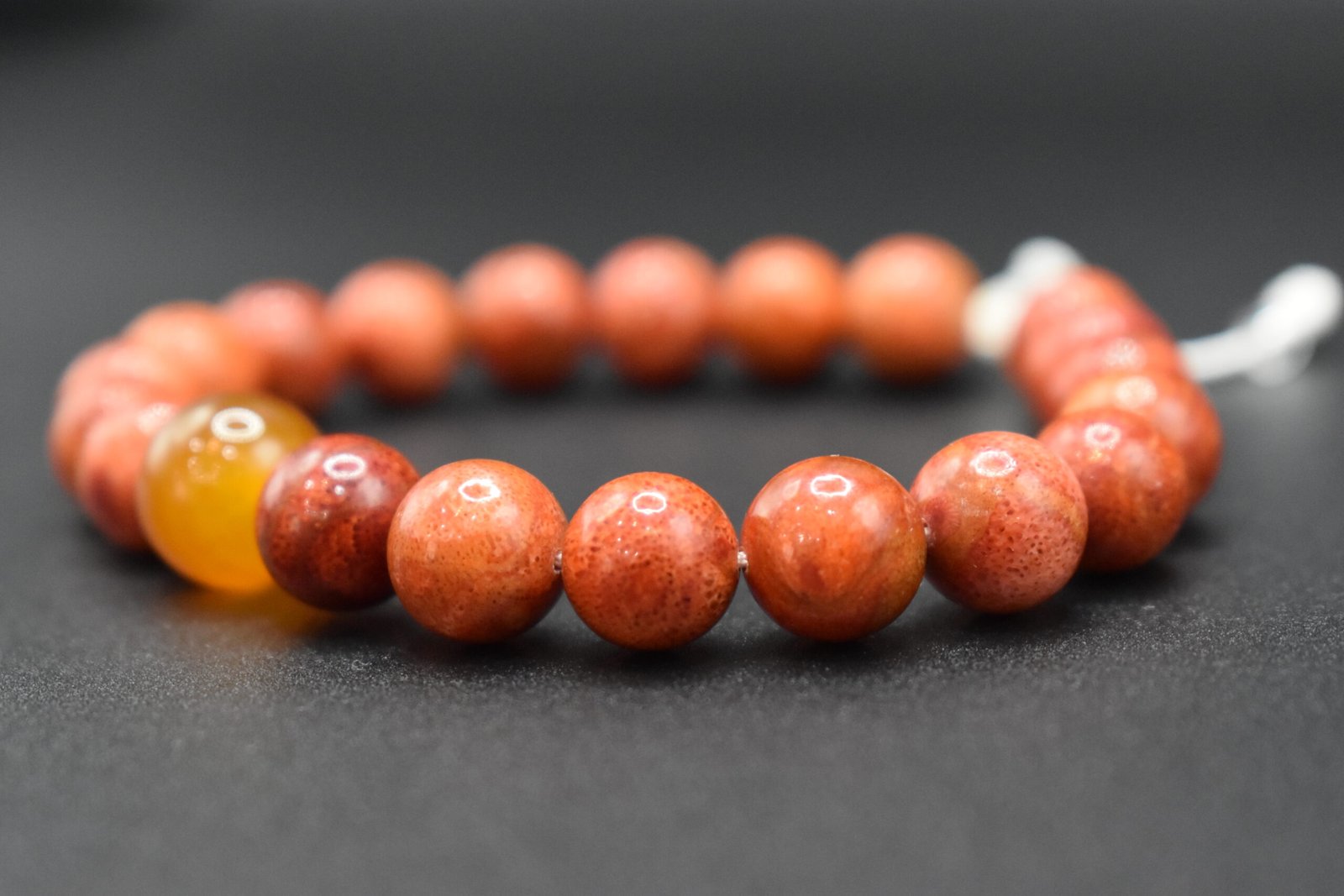 Мана толгойтой Африк шүрэн гарын эрхи - Image 2