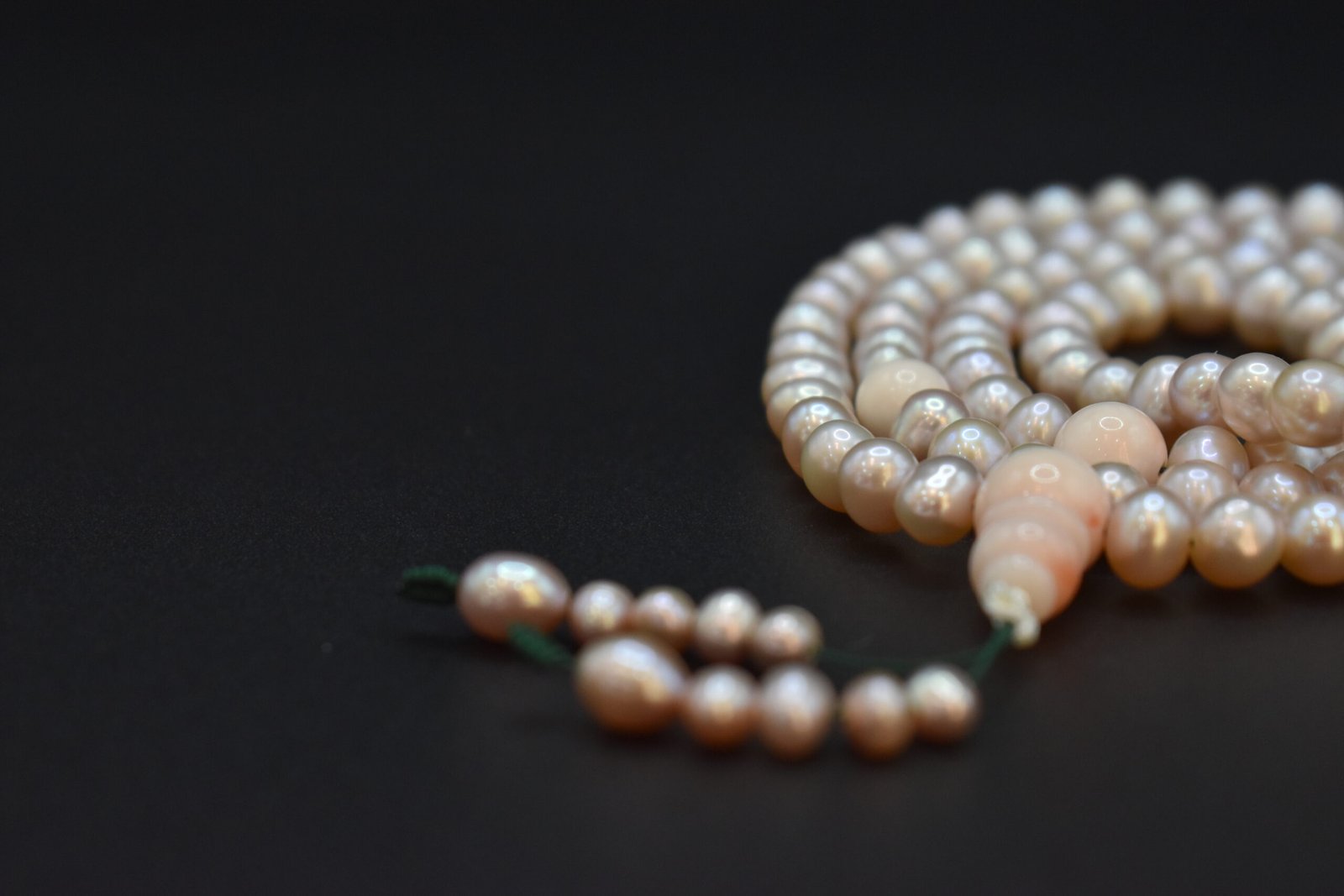 Ягаан шүрэн бөөртэй Ягаан сувдан эрхи - Image 4