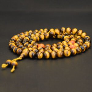 Африк шүрэн бөөртэй Барын нүдэн эрхи